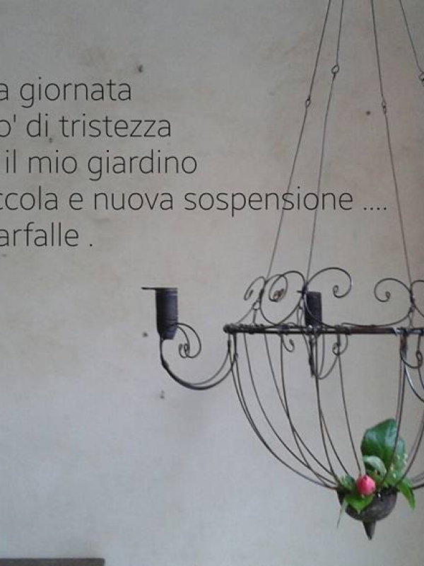 Romantica cesto